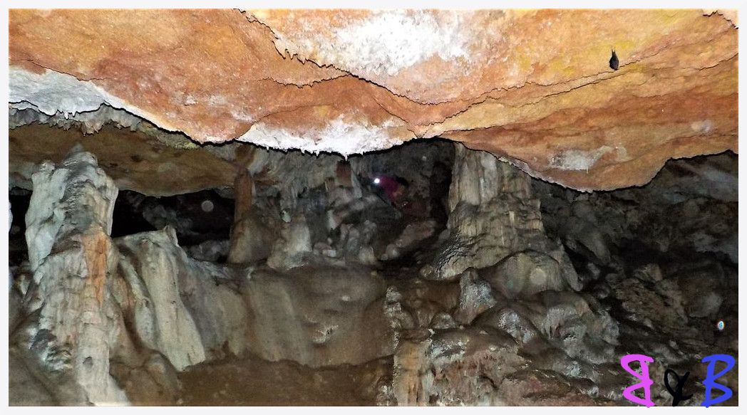 Photo de l'article La grotte aux chauves-souris