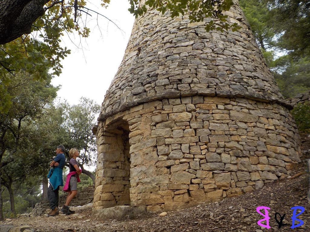 Photo de l'article Du pain de sucre au pigeonnier de Montaigu