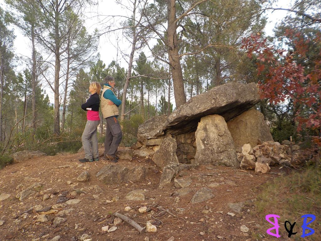 Photo de l'article Les dolmens des Adrets