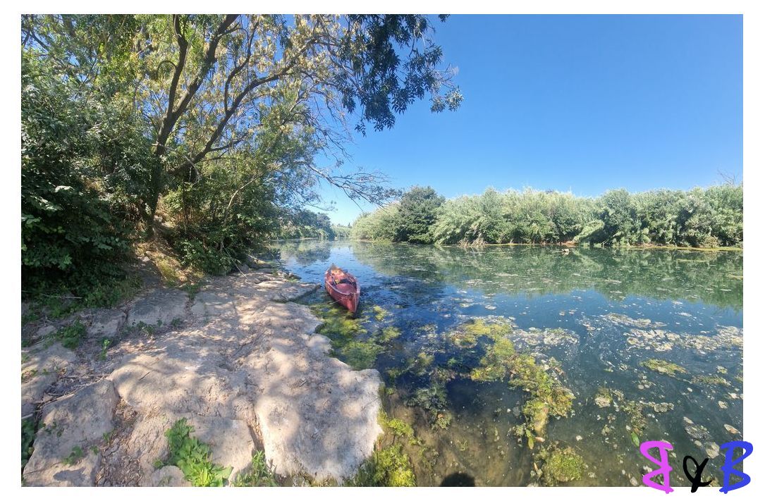 Photo de l'article Balade en canoë sur l'Argens