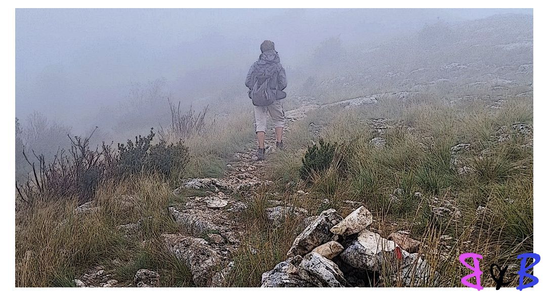 Photo de l'article Vauvenargues - Ste Victoire dans la brume