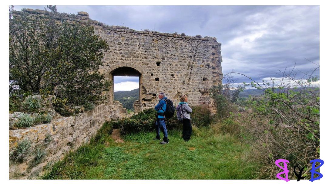 Photo de l'article