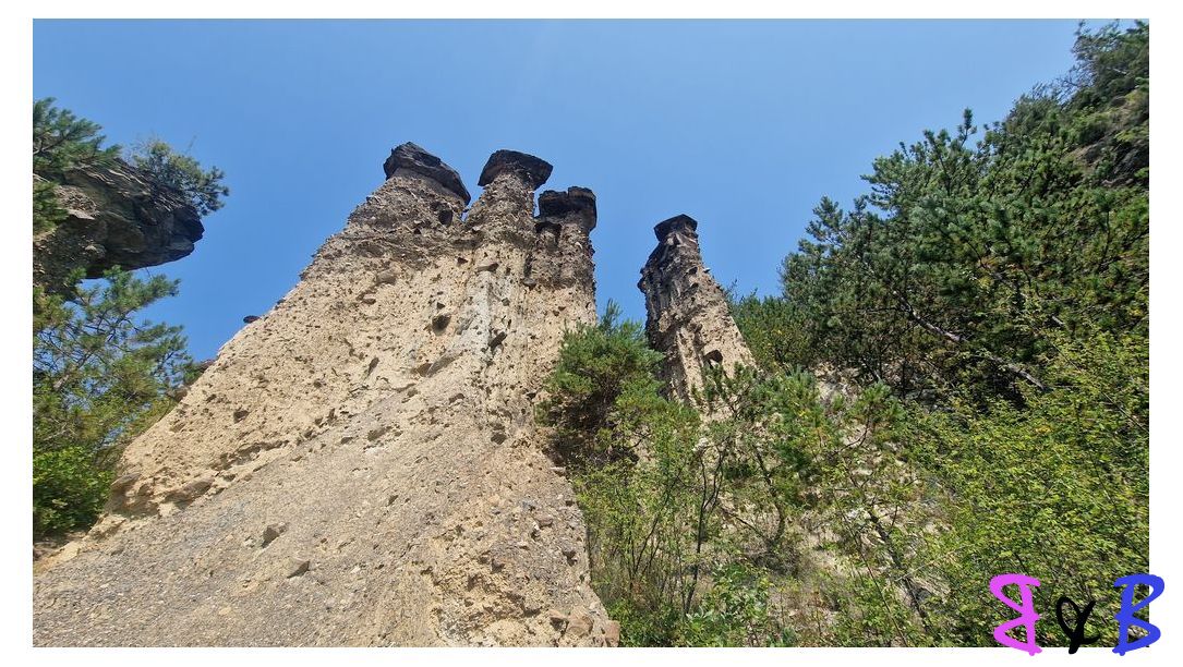 Photo de l'article Les Fées de Remollon
