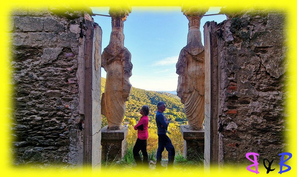 Photo de l'article Cavalière-sur-Mer - Journée mimosa